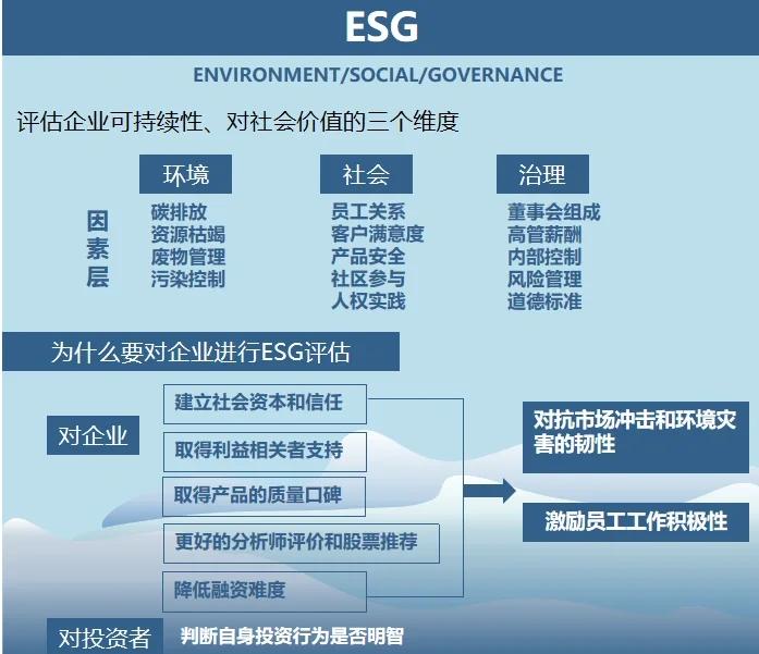 双碳战略咨询服务(双碳战略是什么意思)蒙自市